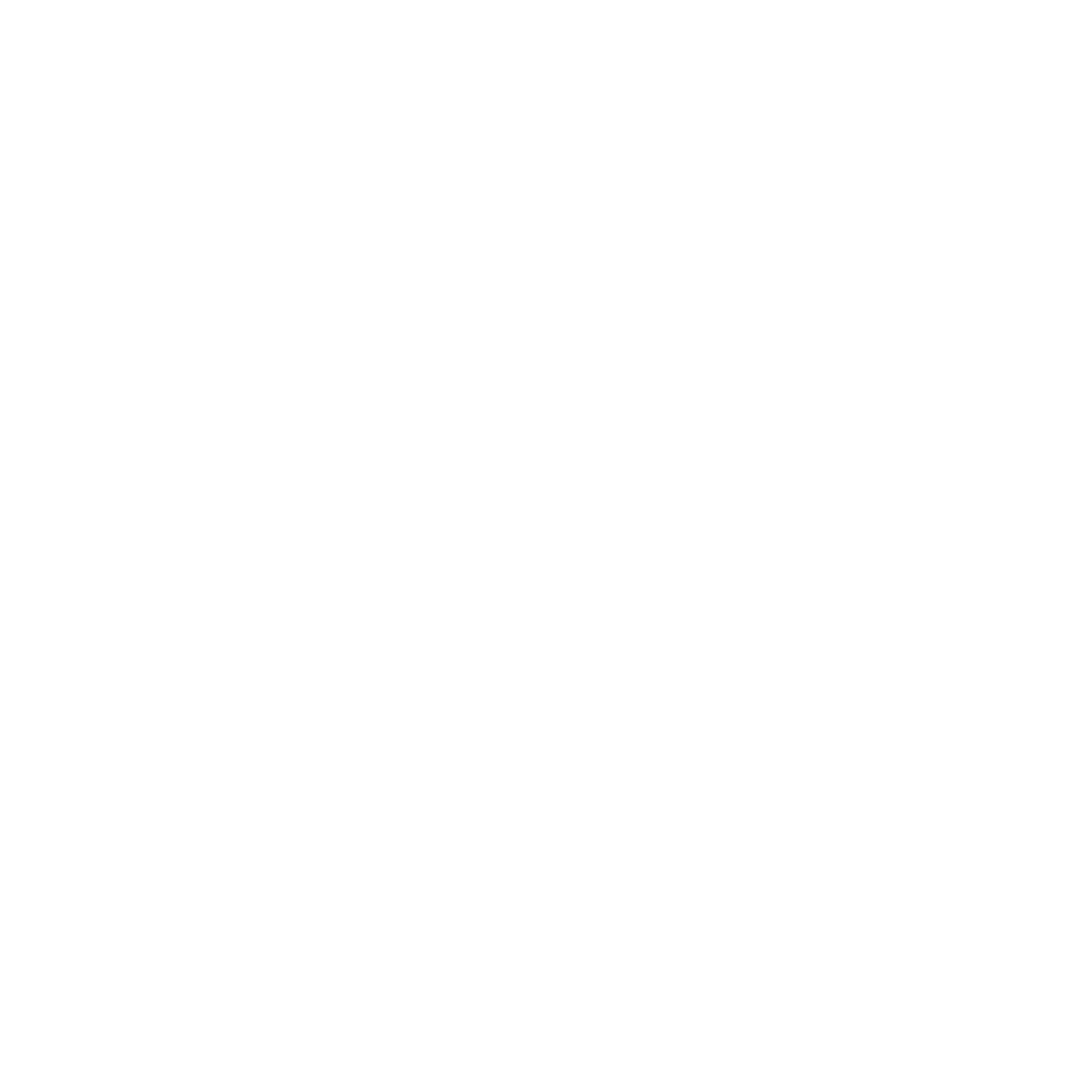 Franchise VA Guide